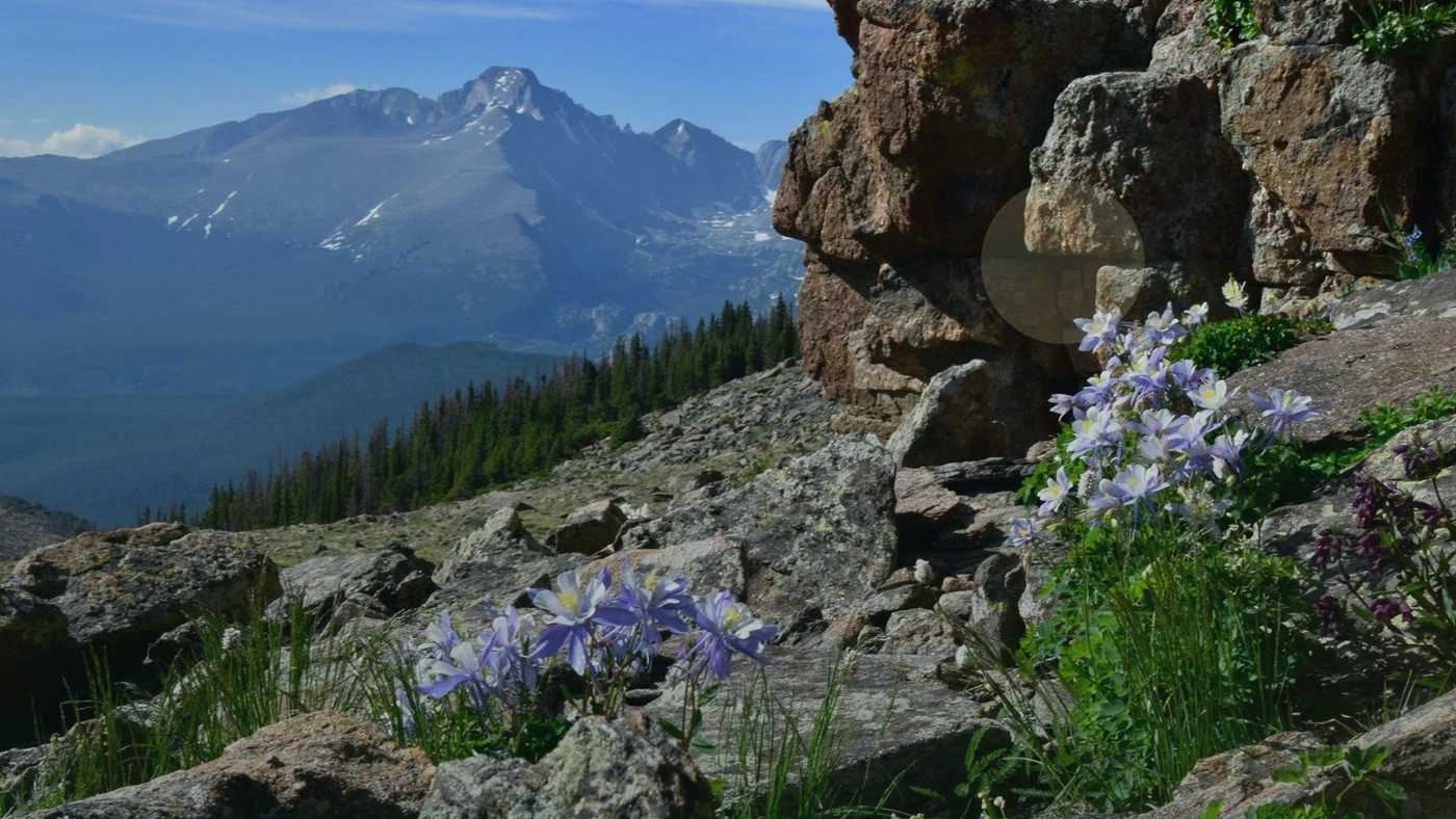 How to Sell Landlocked Land in Colorado Colorado land guide