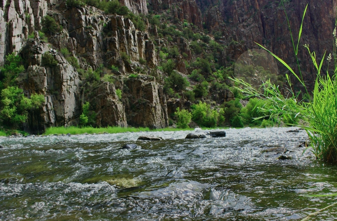 Colorado land sale options and buyer review for Selling Colorado Land With Back Taxes