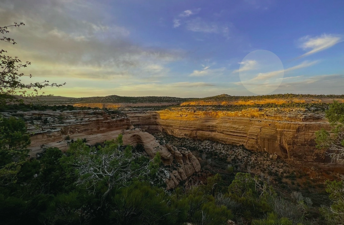 Colorado title and closing preparation for Selling Colorado Land With Back Taxes