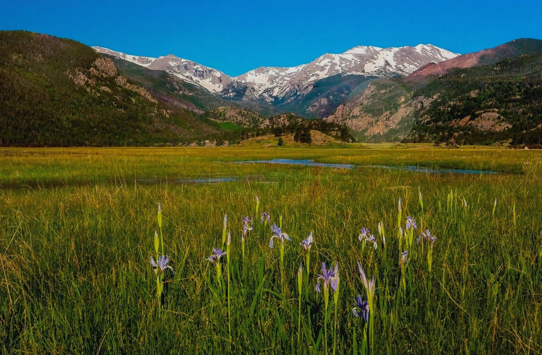 Colorado land records and parcel facts for Selling Mountain Acreage in Colorado