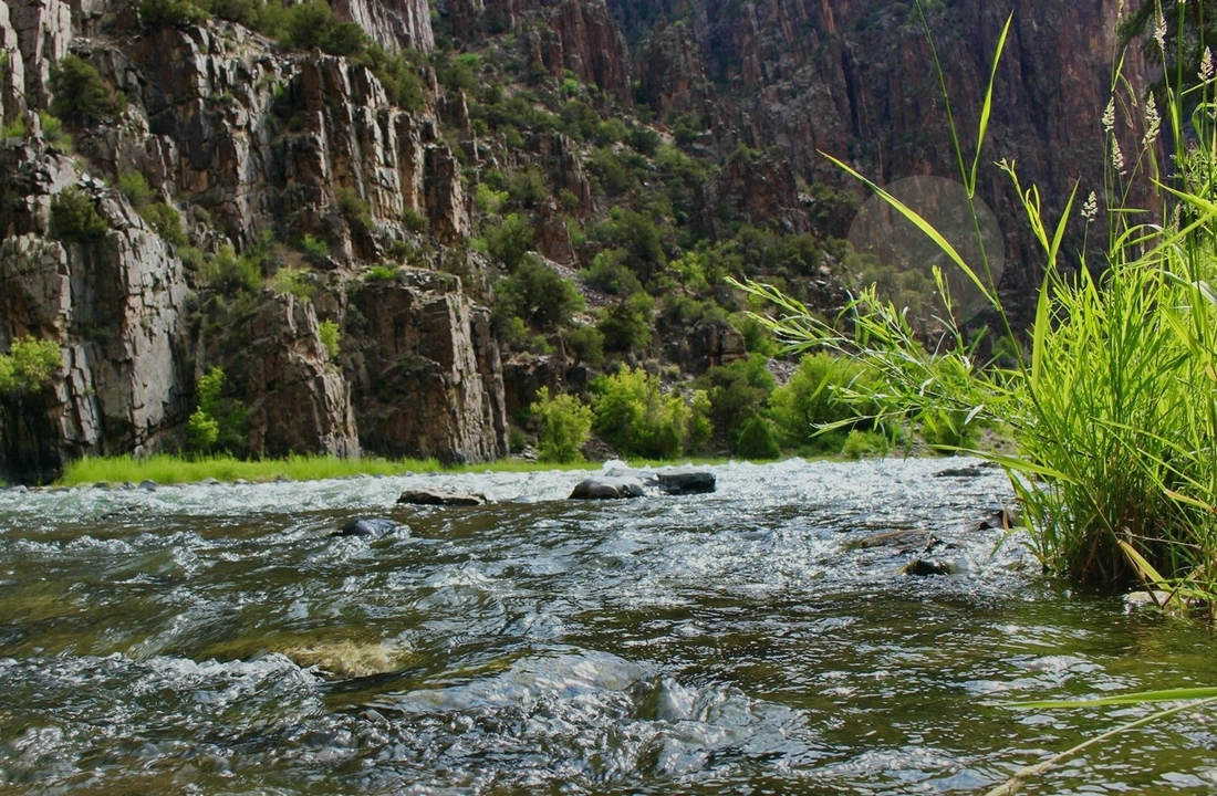 Colorado land sale options and buyer review for Selling Recreational Land in Colorado