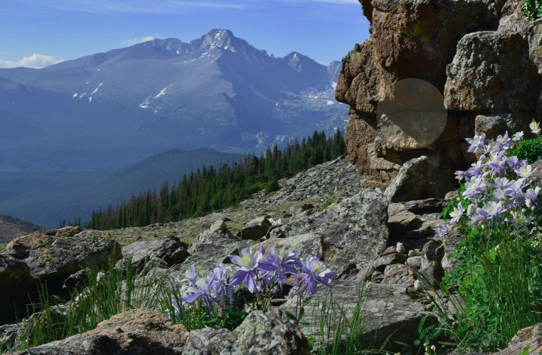 Colorado land sale options and buyer review for Selling Unbuildable Land in Colorado