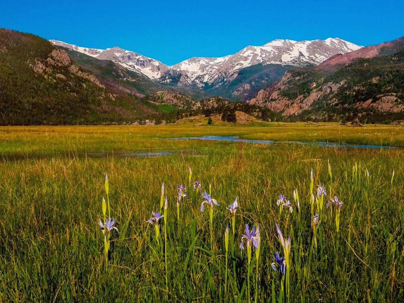 Mountain Acreage in Teller County